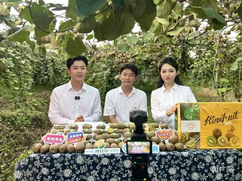 陈集社区党总支书记陈峰直播现场（央广网发&nbsp;陈集镇供图）