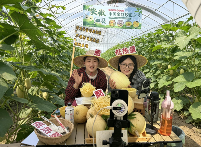 金丝绞瓜种植基地直播现场。王晨晨 摄
