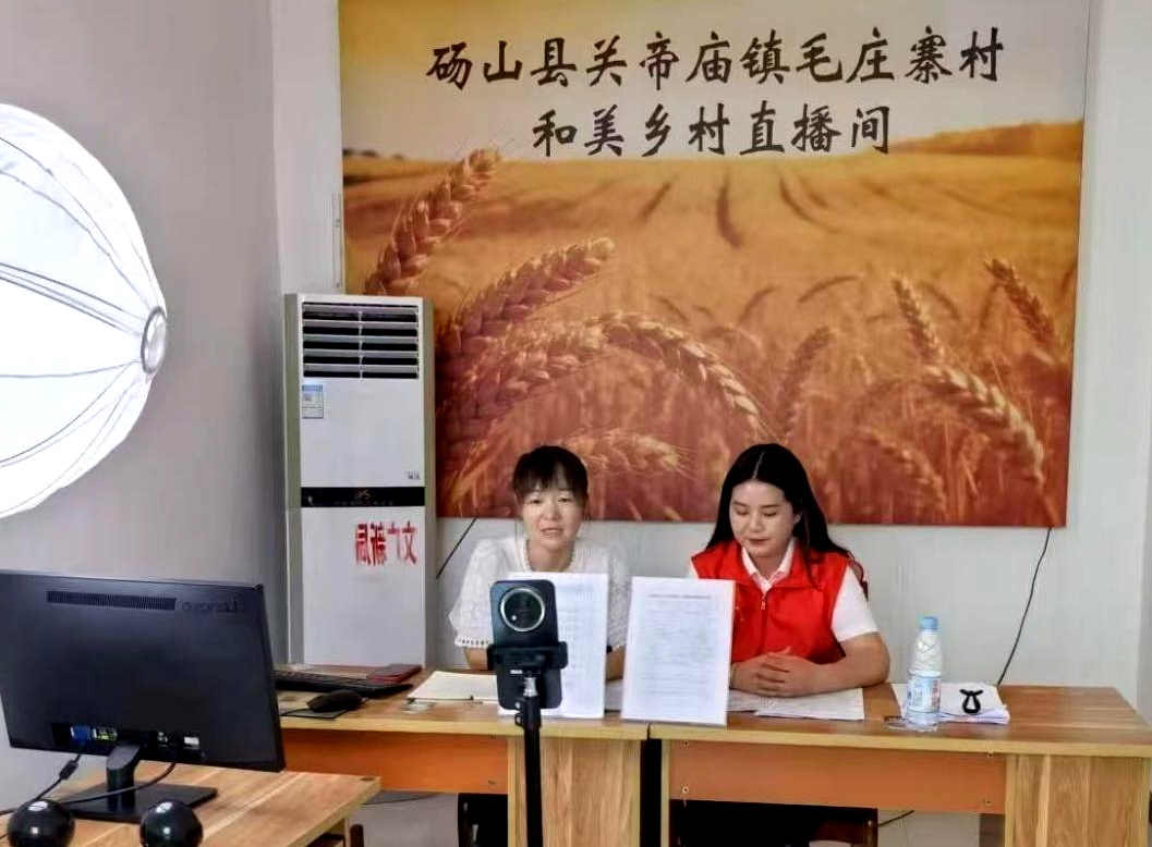 主播人员结合乡村实际案例，科普非法出版物、盗版书带来的危害。